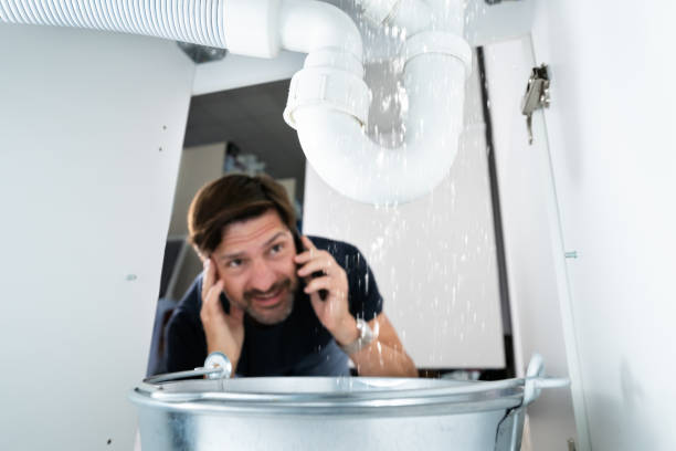 Best Clogged Drain Plumber  in Arcola, IL