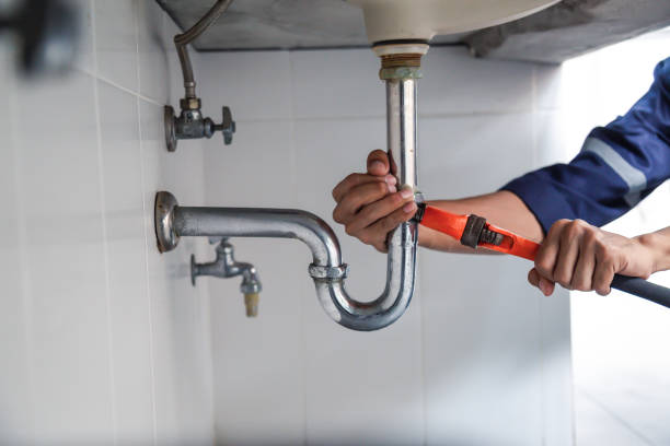 Best Local Plumber Services  in Arcola, IL